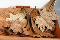 Nostalgically Iconic Wood Sculptures Image 8