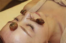 Slimy Mollusk Beauty Treatments