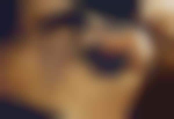 Steamy Espionage Editorials