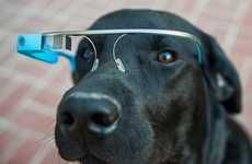 Tech-Infused Pet Glasses