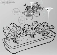 Garden-Monitoring Apps Image 8
