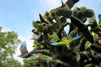 Incredibly Intricate Eco-Sculptures Image 2