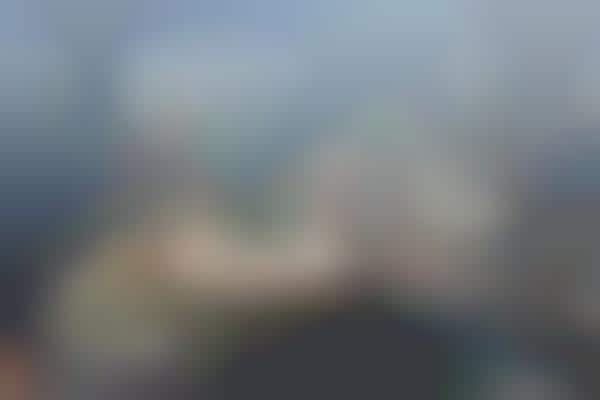 Skyscraper-Sized Model Photography