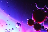 Dream-Like Bubble Photography Image 3