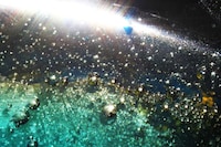 Dream-Like Bubble Photography Image 6