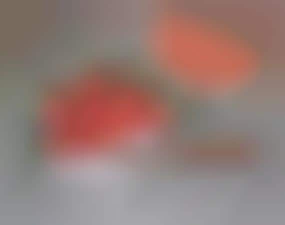 Illusory Watermelon-Shaped Candles