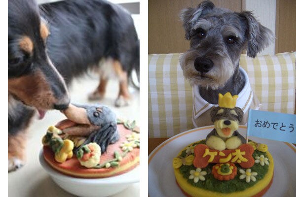 13 Canine-Catered Treats