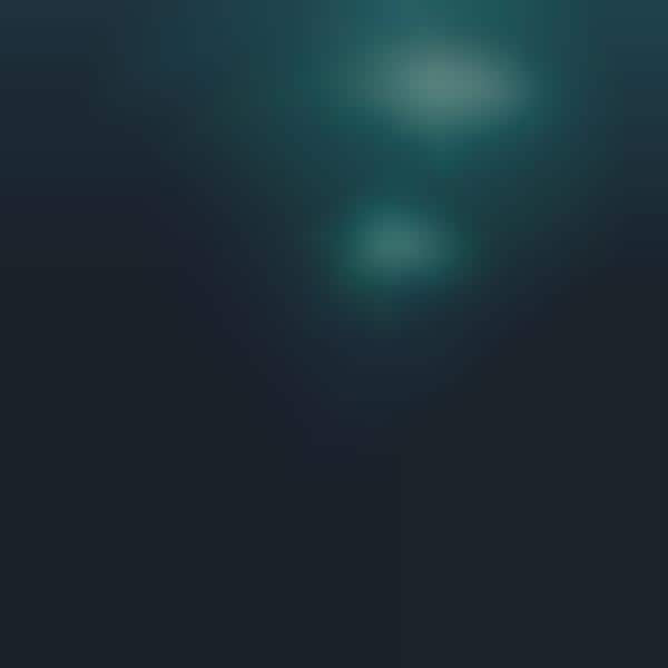 Tranquil Submerged Photography