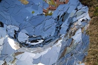 Natural Sciences-Inspired Sculptures Image 2