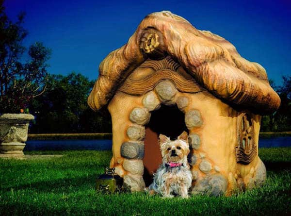 Eco-Friendly Pooch Cottages