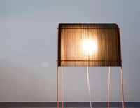 Saddle-Like Lighting Image 2