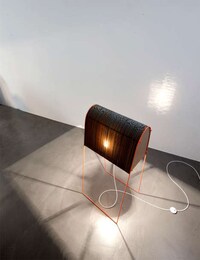 Saddle-Like Lighting Image 7