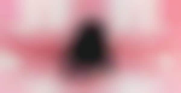 Fantastical Camouflaged Songstress Videos