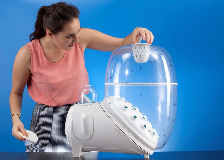 Edible Insect Breeding Farms