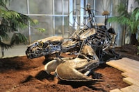 Peculiar Steampunk Parks Image 4