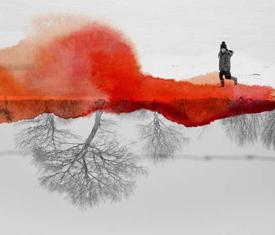 30 Color-Accented Photo Series