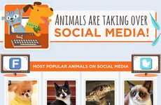 Internet Pet Popularity Infographics