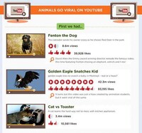 Internet Pet Popularity Infographics Image 2