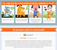 Internet Pet Popularity Infographics Image 5