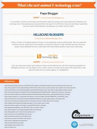 Internet Pet Popularity Infographics Image 6