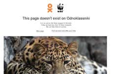 Socially Integrated Wildlife Ads
