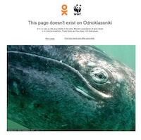 Socially Integrated Wildlife Ads Image 2
