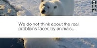 Socially Integrated Wildlife Ads Image 4