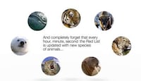 Socially Integrated Wildlife Ads Image 6