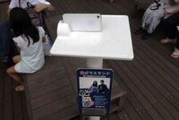 Phone-Holding Camera Stands Image 3