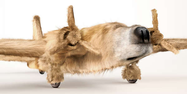 39 Immaculately Morphed Images