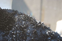 Magnetically Grown Dresses Image 5