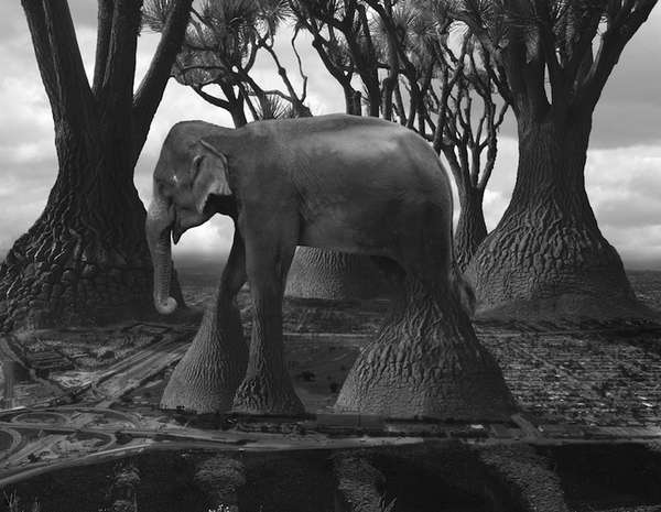 44 Adorable Elephant Products