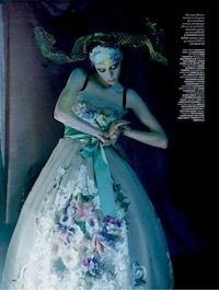 Ferocious Lion-Infused Editorials Image 2
