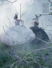 Ferocious Lion-Infused Editorials Image 8