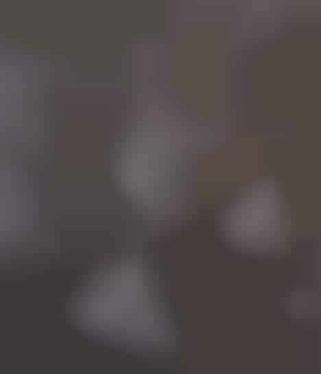 Woodcut Line-Styled Art