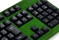 Grassy Computer Keyboards Image 2