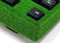 Grassy Computer Keyboards Image 5