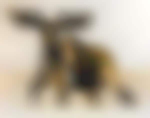 Patterned Critter Depictions
