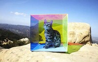 Surreal Plexiglass Photography Image 3