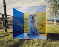 Surreal Plexiglass Photography Image 5