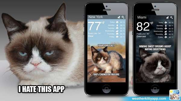 Feline Weather Forecast Apps