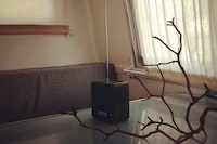 Rentable Vintage Campers Image 3