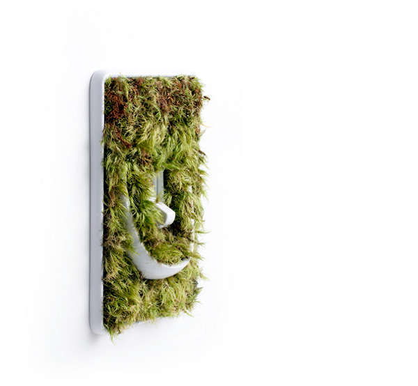 44 Grassy Household Items