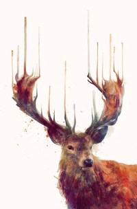 Ethereal Animal Portraits Image 3