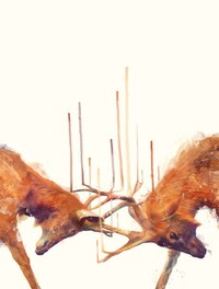 Ethereal Animal Portraits Image 5