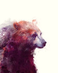 Ethereal Animal Portraits Image 7
