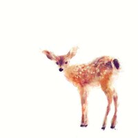 Ethereal Animal Portraits Image 8