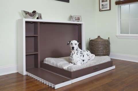 Fold-Out Canine Cots