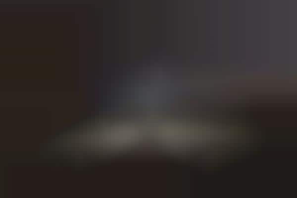 Ghostly Silhouette Photography