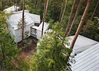 Eco-Friendly Forest Communities Image 2